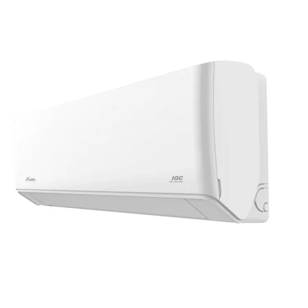 IGC RAS-V09NQR  до 25 кв.м.